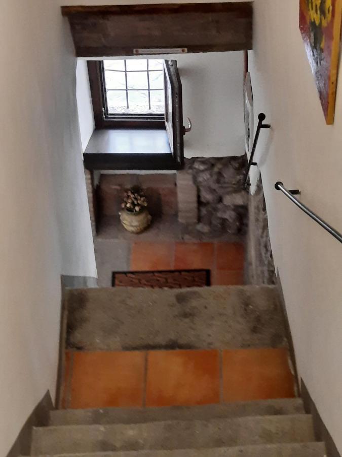 Viterbo Alloggio Turistico Hipster House Екстер'єр фото