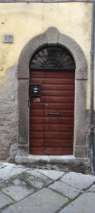 Viterbo Alloggio Turistico Hipster House Екстер'єр фото
